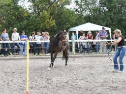 IMG_1368_web